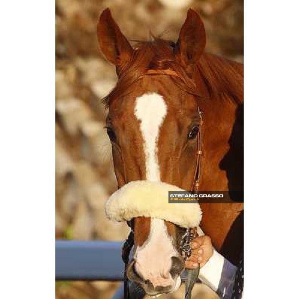 Final Score Rome,26th october 2014 photo Stefano Grasso