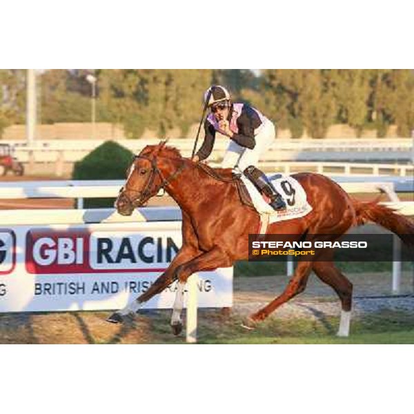 Dario Vargiu on Priore Philips triumphs in the Premio Roma GBI racing Rome,Capannelle 2nd nov.2014 ph.Domenico Savi/Stefano Grasso