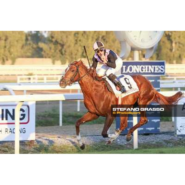 Dario Vargiu on Priore Philips triumphs in the Premio Roma GBI racing Rome,Capannelle 2nd nov.2014 ph.Domenico Savi/Stefano Grasso