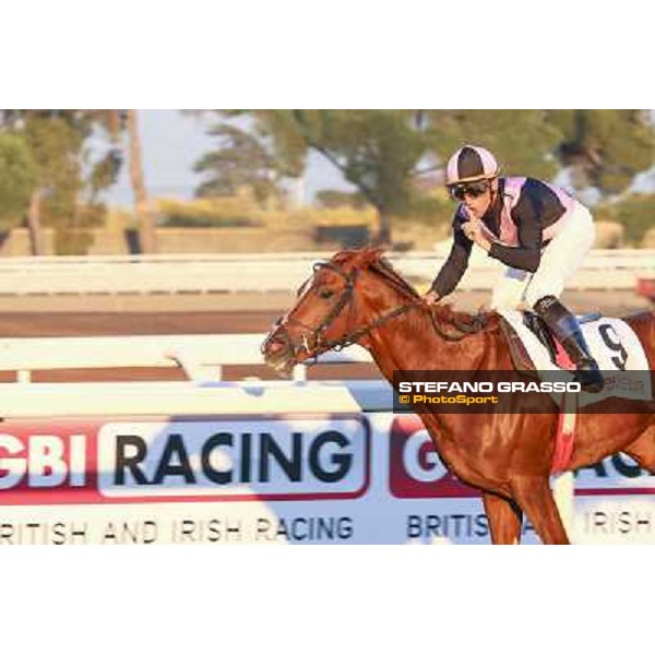 Dario Vargiu on Priore Philips triumphs in the Premio Roma GBI racing Rome,Capannelle 2nd nov.2014 ph.Domenico Savi/Stefano Grasso