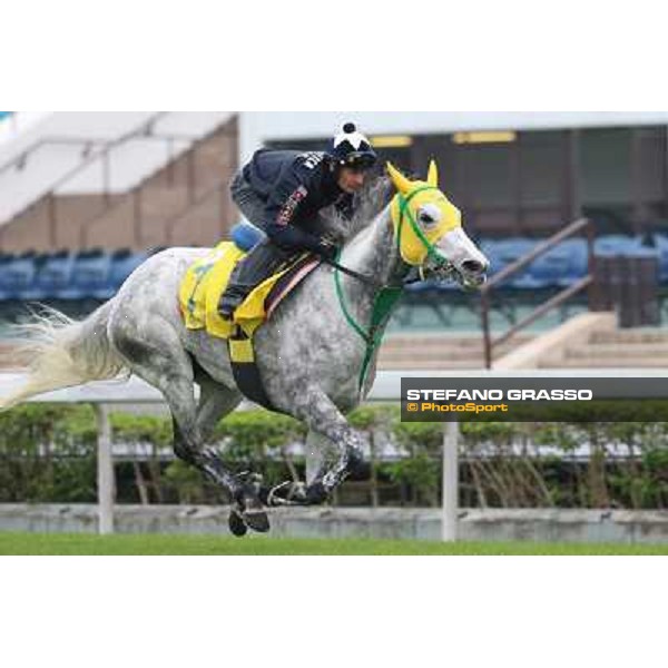 Mirco Demuro on Little Gerda Morning track works Hong Kong - Sha Tin racecourse,10/12/2014 ph.Domenico Savi/Stefano Grasso