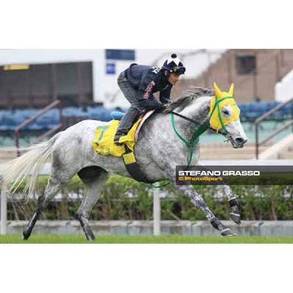 Mirco Demuro on Little Gerda Morning track works Hong Kong - Sha Tin racecourse,10/12/2014 ph.Domenico Savi/Stefano Grasso