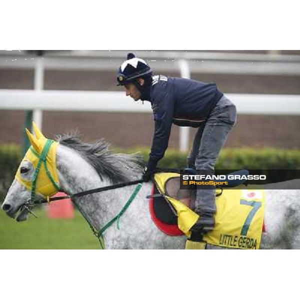 Mirco Demuro on Little Gerda Morning track works Hong Kong - Sha Tin racecourse,10/12/2014 ph.Stefano Grasso