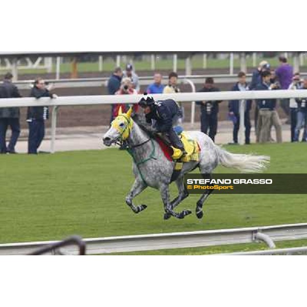 Mirco Demuro on Little Gerda Morning track works Hong Kong - Sha Tin racecourse,10/12/2014 ph.Stefano Grasso