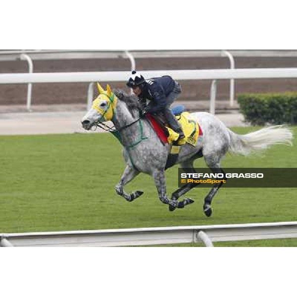 Mirco Demuro on Little Gerda Morning track works Hong Kong - Sha Tin racecourse,10/12/2014 ph.Stefano Grasso