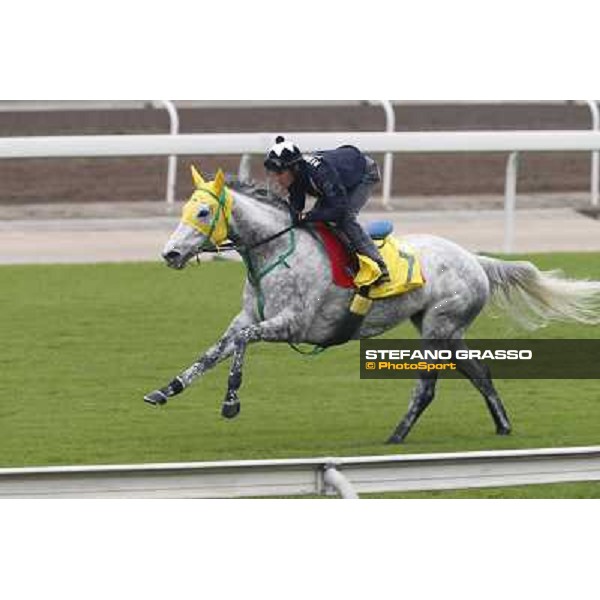 Mirco Demuro on Little Gerda Morning track works Hong Kong - Sha Tin racecourse,10/12/2014 ph.Stefano Grasso