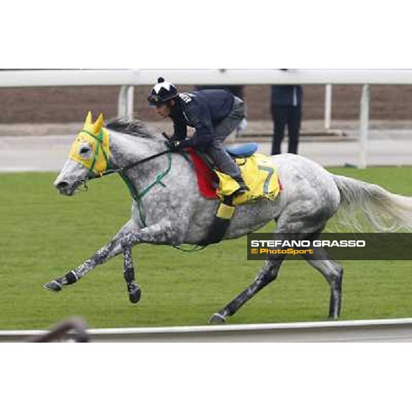 Mirco Demuro on Little Gerda Morning track works Hong Kong - Sha Tin racecourse,10/12/2014 ph.Stefano Grasso