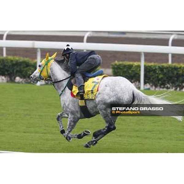 Mirco Demuro on Little Gerda Morning track works Hong Kong - Sha Tin racecourse,10/12/2014 ph.Stefano Grasso