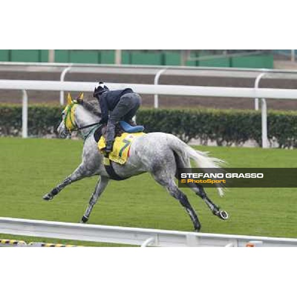 Mirco Demuro on Little Gerda Morning track works Hong Kong - Sha Tin racecourse,10/12/2014 ph.Stefano Grasso