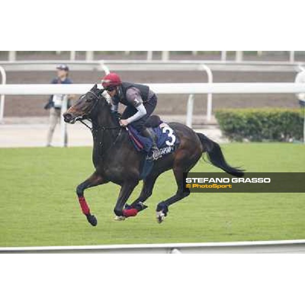 Captain Cat Morning track works Hong Kong - Sha Tin racecourse,10/12/2014 ph.Stefano Grasso