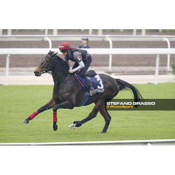 Captain Cat Morning track works Hong Kong - Sha Tin racecourse,10/12/2014 ph.Stefano Grasso