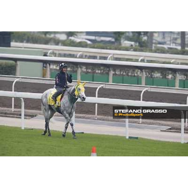 Mirco Demuro on Little Gerda Morning track works Hong Kong - Sha Tin racecourse,10/12/2014 ph.Stefano Grasso