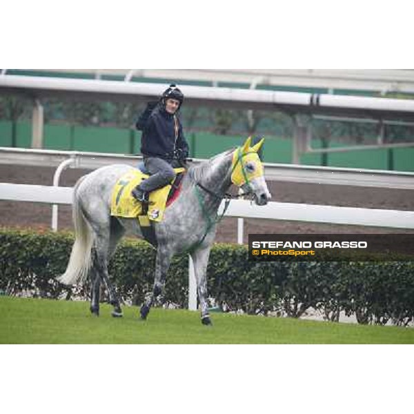 Mirco Demuro on Little Gerda Morning track works Hong Kong - Sha Tin racecourse,10/12/2014 ph.Stefano Grasso