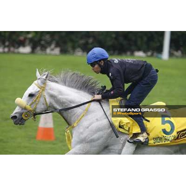 Hana\'s Goal Morning track works Hong Kong - Sha Tin racecourse,10/12/2014 ph.Stefano Grasso
