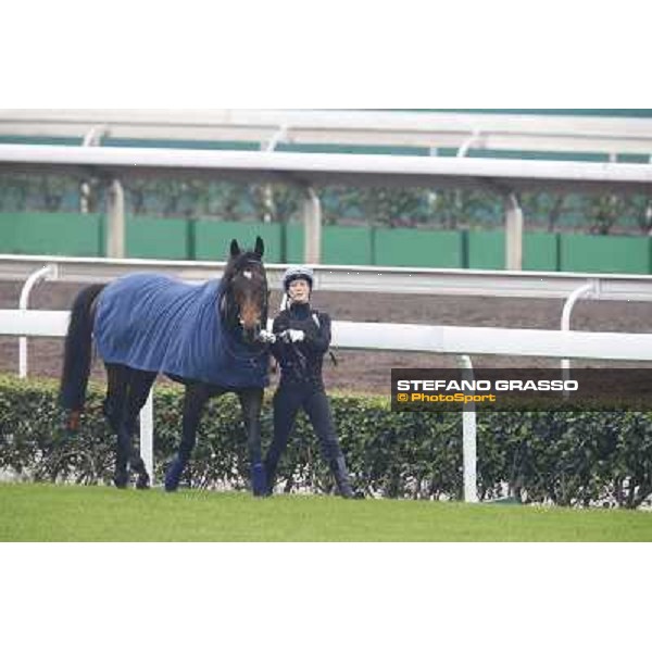 Flintshire Morning track works Hong Kong - Sha Tin racecourse,10/12/2014 ph.Stefano Grasso