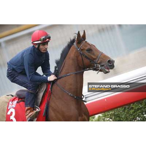 Andrea Atzeni on Farraaj Hong Kong - Sha Tin racecourse,12/12/2014 ph.Stefano Grasso