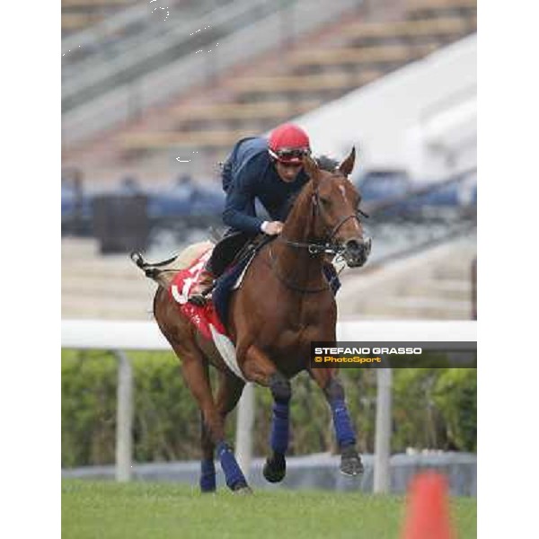 Andrea Atzeni on Farraaj Hong Kong - Sha Tin racecourse,12/12/2014 ph.Stefano Grasso