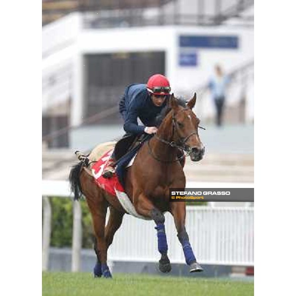 Andrea Atzeni on Farraaj Hong Kong - Sha Tin racecourse,12/12/2014 ph.Stefano Grasso