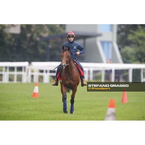 Andrea Atzeni on Farraaj Hong Kong - Sha Tin racecourse,12/12/2014 ph.Stefano Grasso