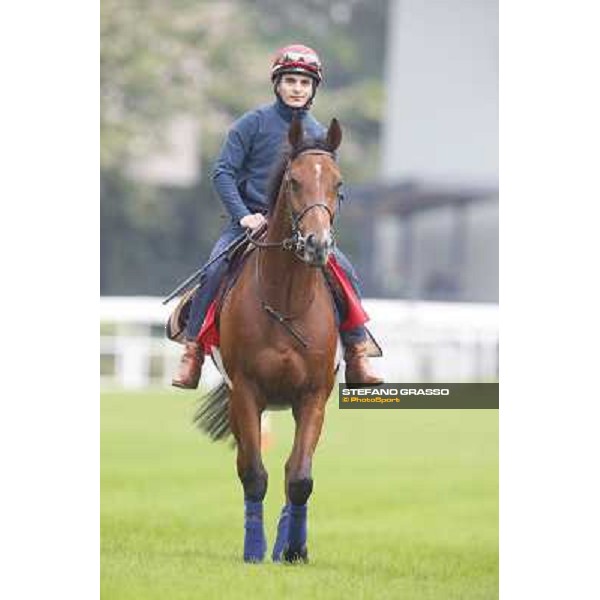Andrea Atzeni on Farraaj Hong Kong - Sha Tin racecourse,12/12/2014 ph.Stefano Grasso