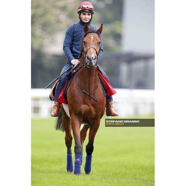 Andrea Atzeni on Farraaj Hong Kong - Sha Tin racecourse,12/12/2014 ph.Stefano Grasso