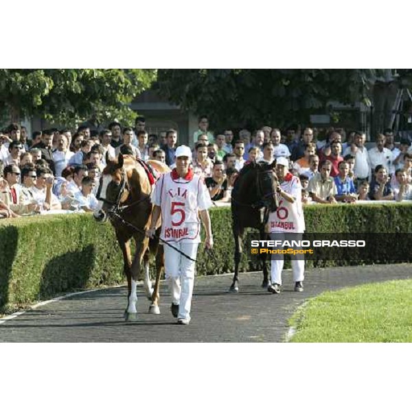 parade ringt of Bosphorus Cup - Rhodesian Winner and Senex Istanbul 10th september 2005 ph. Stefano Grasso