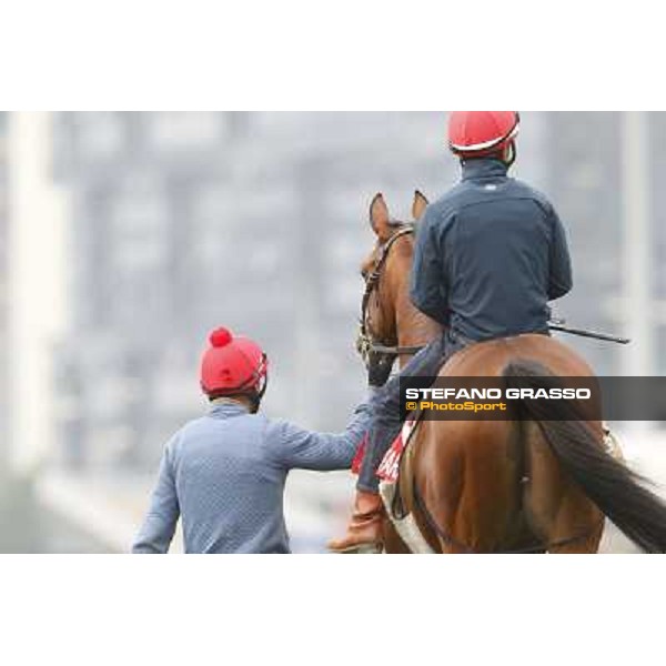 Andrea Atzeni on Farraaj Hong Kong - Sha Tin racecourse,12/12/2014 ph.Stefano Grasso