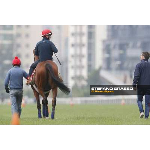 Andrea Atzeni on Farraaj Hong Kong - Sha Tin racecourse,12/12/2014 ph.Stefano Grasso