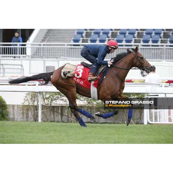Andrea Atzeni on Farraaj Hong Kong - Sha Tin racecourse,12/12/2014 ph.Stefano Grasso