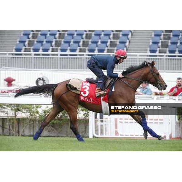 Andrea Atzeni on Farraaj Hong Kong - Sha Tin racecourse,12/12/2014 ph.Stefano Grasso