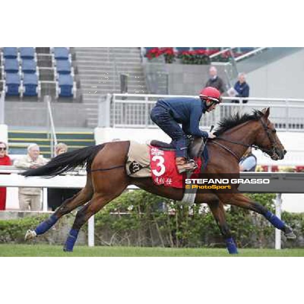 Andrea Atzeni on Farraaj Hong Kong - Sha Tin racecourse,12/12/2014 ph.Stefano Grasso