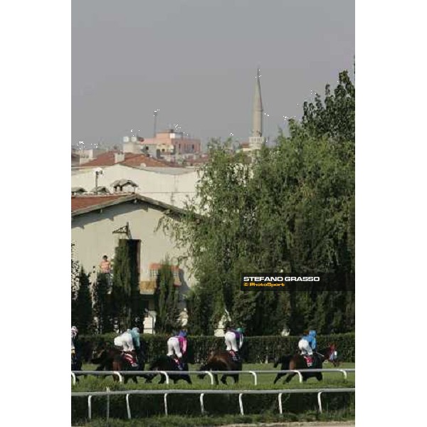 first bend of Bosphorus Cup - Abdulbey leads followed by Rhodesian Winner and Senex Istanbul 10th september 2005 ph. Stefano Grasso