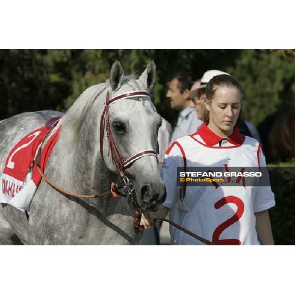 Dahess and his groom winners of International Malazgirt Trophy Istanbul 10th september 2005 ph. Stefano Grasso