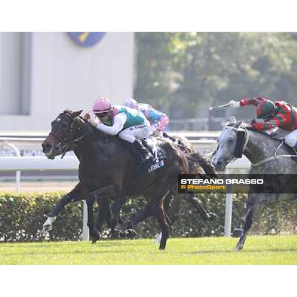Maxim Guyon on Flinthshire wins the Longines Hong Kong Vase Hong Kong,12/12/2014 ph.Stefano Grasso