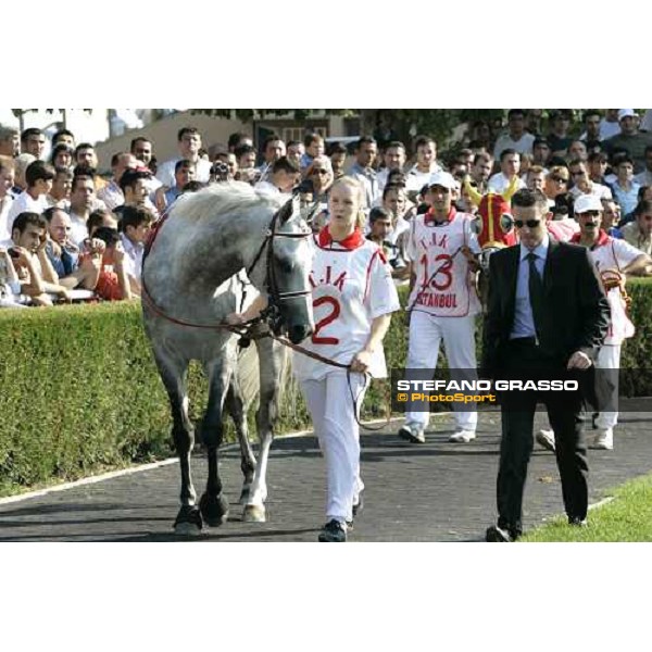 Dahess parading before winning the International Malazgirt Trophy Istanbul 10th september 2005 ph. Stefano Grasso