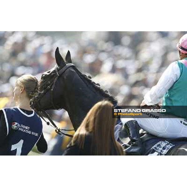 Maxim Guyon on Flinthshire wins the Longines Hong Kong Vase Hong Kong,12/12/2014 ph.Stefano Grasso