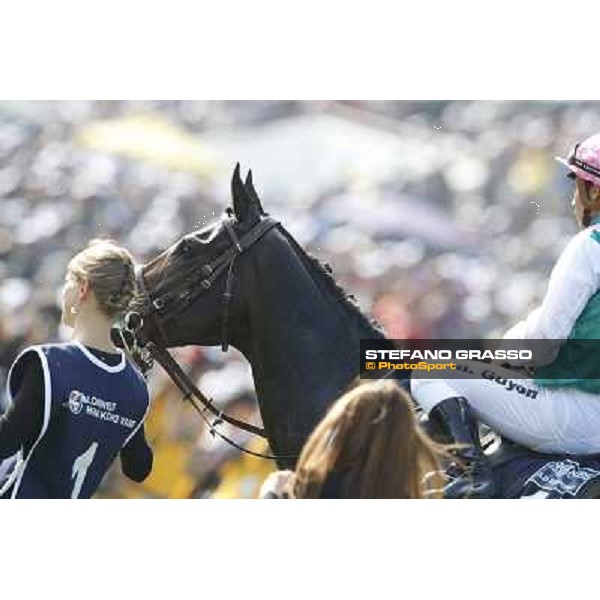 Maxim Guyon on Flinthshire wins the Longines Hong Kong Vase Hong Kong,12/12/2014 ph.Stefano Grasso