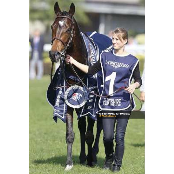 Maxim Guyon on Flinthshire wins the Longines Hong Kong Vase Hong Kong,12/12/2014 ph.Stefano Grasso