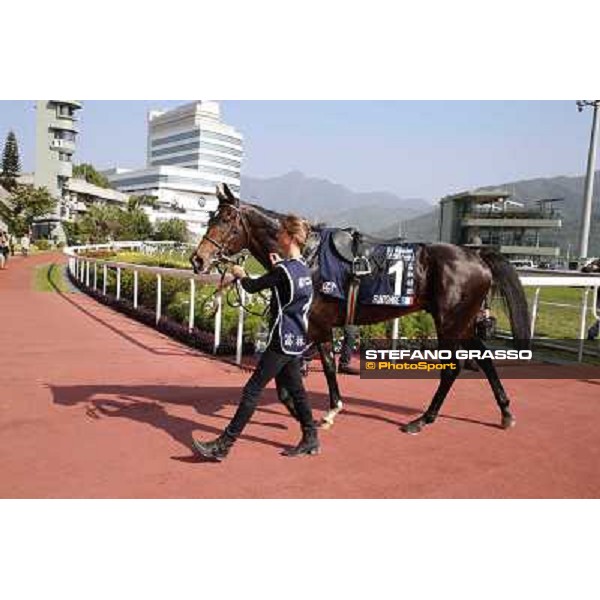 Maxim Guyon on Flinthshire wins the Longines Hong Kong Vase Hong Kong,12/12/2014 ph.Stefano Grasso