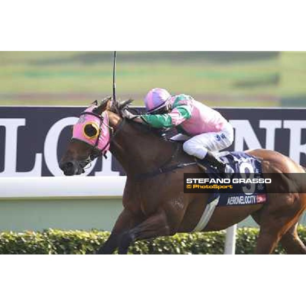 Zac Purton on Aerovelocity wins the Longines Hong Kong Sprint Hong Kong,12/12/2014 ph.Stefano Grasso