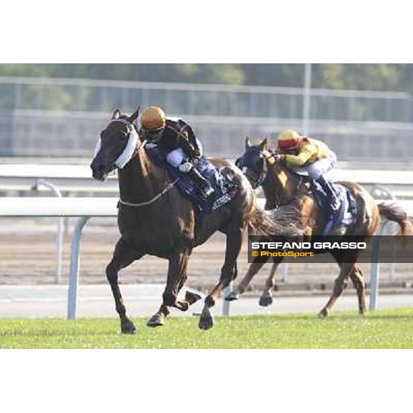 Joao Morera on Able Friend wins the Longines Hong Kong Mile Hong Kong,12/12/2014 ph.Stefano Grasso
