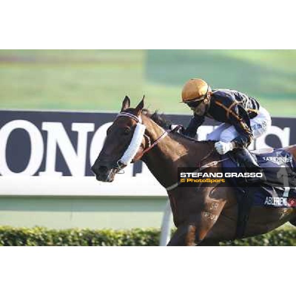 Joao Morera on Able Friend wins the Longines Hong Kong Mile Hong Kong,12/12/2014 ph.Stefano Grasso