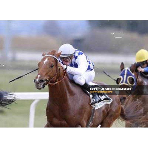 Oliver Wilson on Traditional Chic wins the Premio Sansonetto Roma Capannelle racecourse,31st january 2015 ph.Stefano Grasso