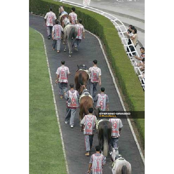 horse parading at Istanbul racetrack Istanbul 10th sept. 2005 ph. Stefano Grasso