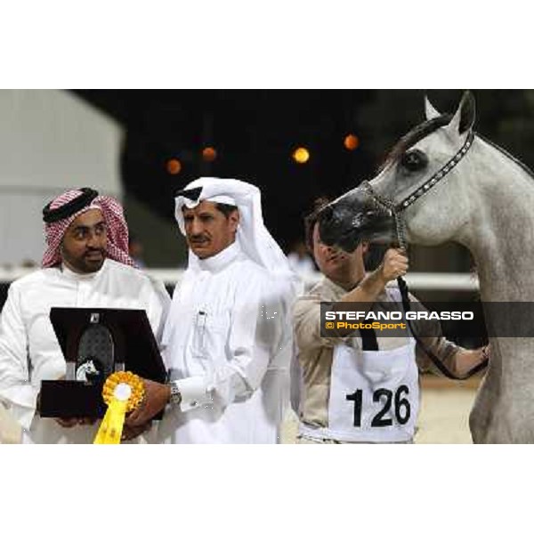 24th Qatar International Arabian Horse Show - Day 2 Doha,20th febr.2015 ph.Stefano Grasso
