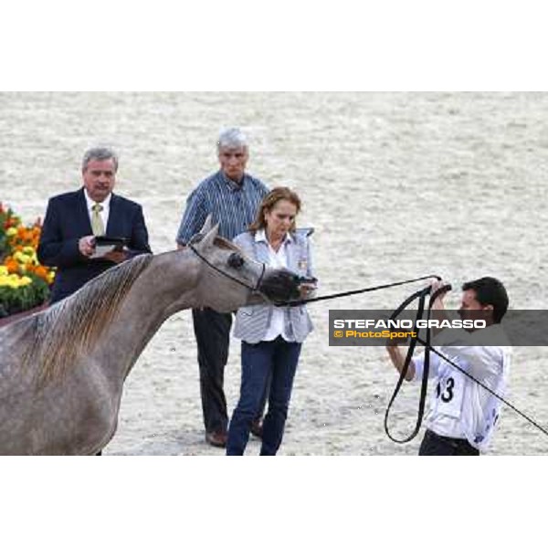 24th Qatar International Arabian Horse Show - Day 2 Doha,20th febr.2015 ph.Stefano Grasso