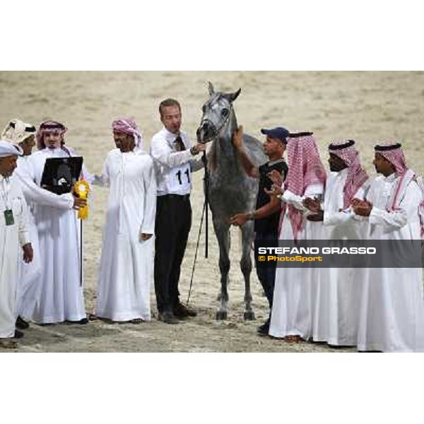 24th Qatar International Arabian Horse Show - Day 2 Doha,20th febr.2015 ph.Stefano Grasso