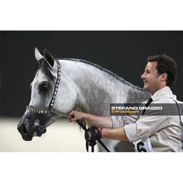 24th Qatar International Arabian Horse Show - Day 2 Doha,20th febr.2015 ph.Stefano Grasso