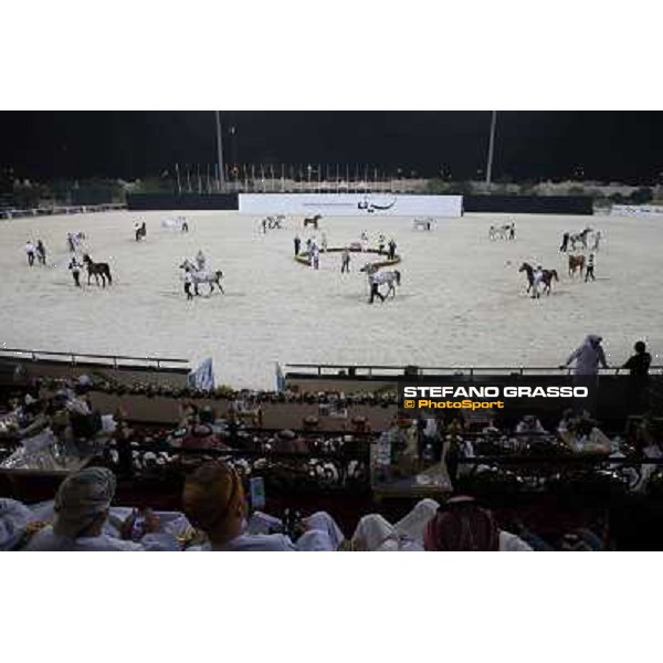 24th Qatar International Arabian Horse Show - Day 2 Doha,20th febr.2015 ph.Stefano Grasso