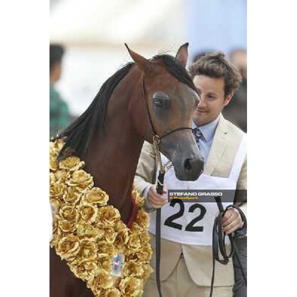 24th Qatar International Arabian Horse Show - Portraits at the Finals Doha,21th febr.2015 ph.Stefano Grasso
